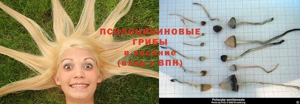 мефедрон VHQ Богородицк